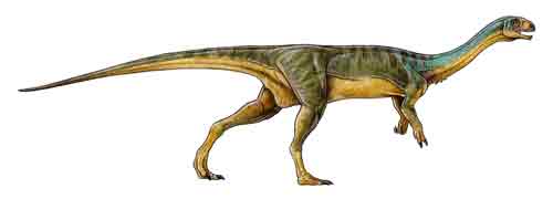 Descubren en Chile uno de los dinosaurios más extraños del mundo – MMA