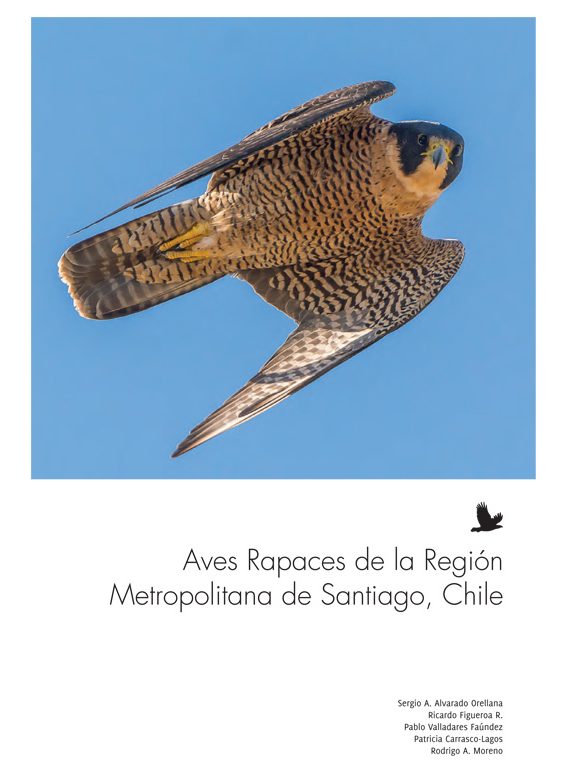 Portada Aves Rapaces de la RM