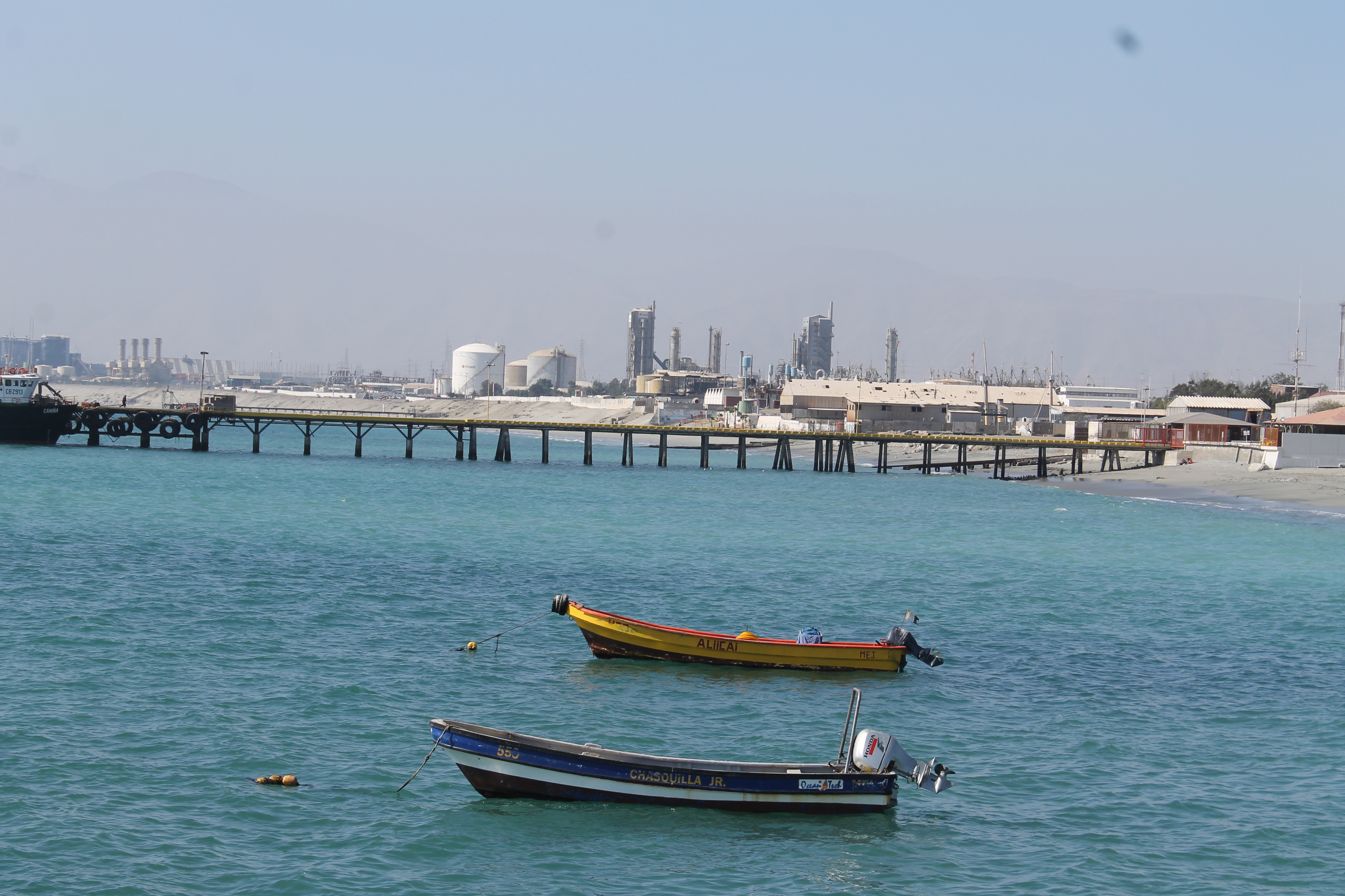 Contaminantes y enfermedades en mejillones