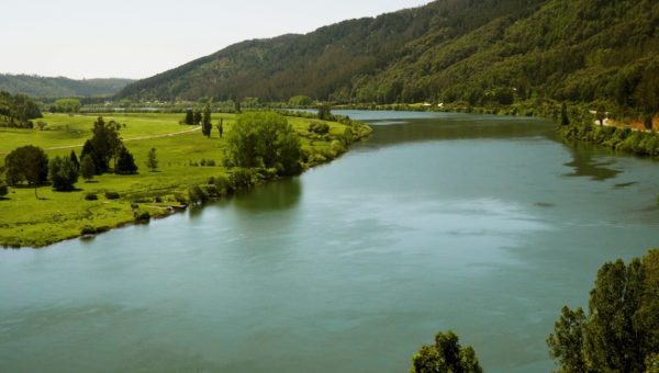 Ministerio de Medio Ambiente da a conocer respuestas a las observaciones de  la Norma Secundaria de Calidad Ambiental del río Valdivia – MMA