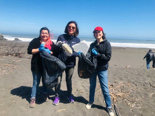 Cerca de 300 kilos de residuos marinos fueron recolectados en Chanco
