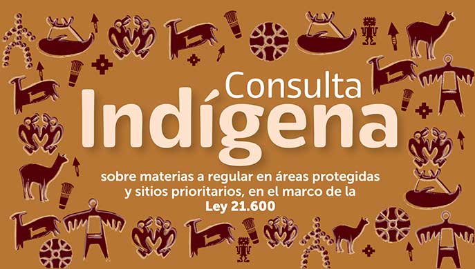 Banner consulta Indigena