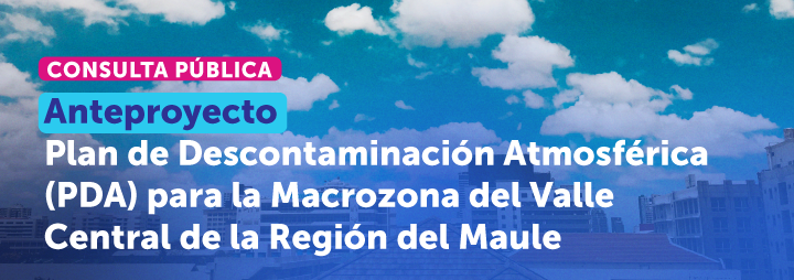 Consulta Ciudadana PDA 2025