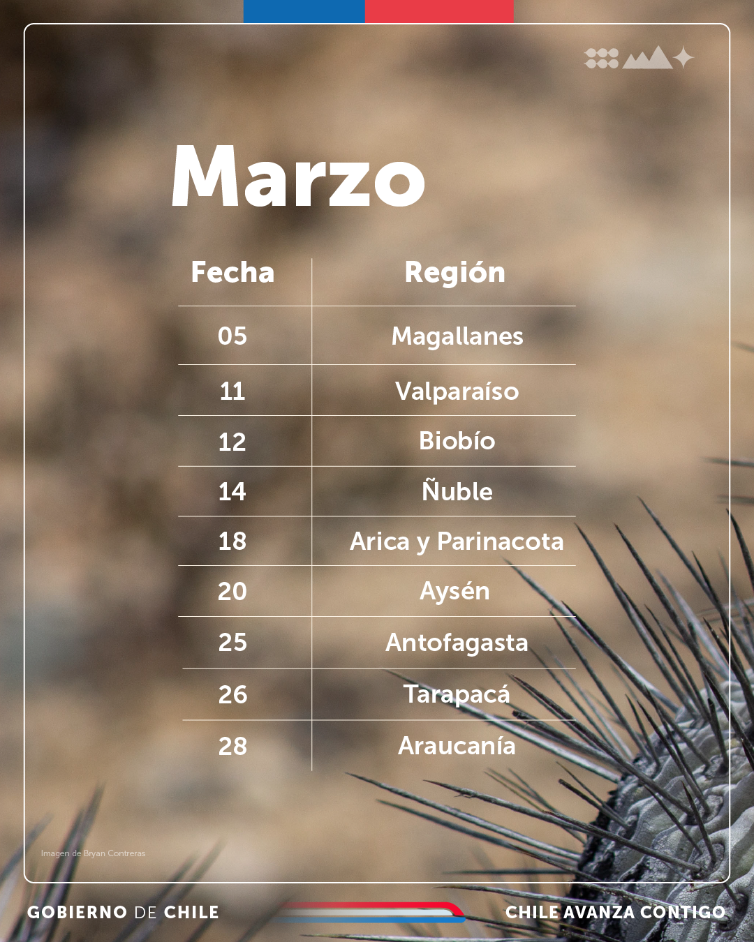 Graficas talleres regionales 02