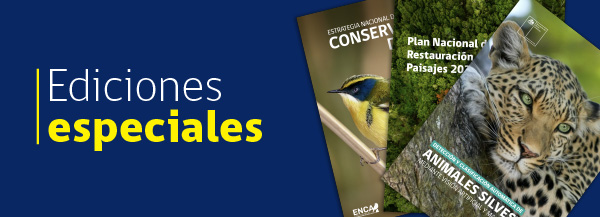 Banner ediciones especiales