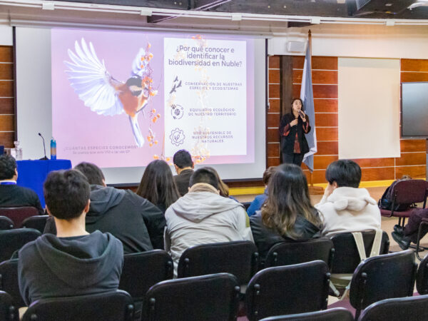 Monitoreo ciudadanonatura