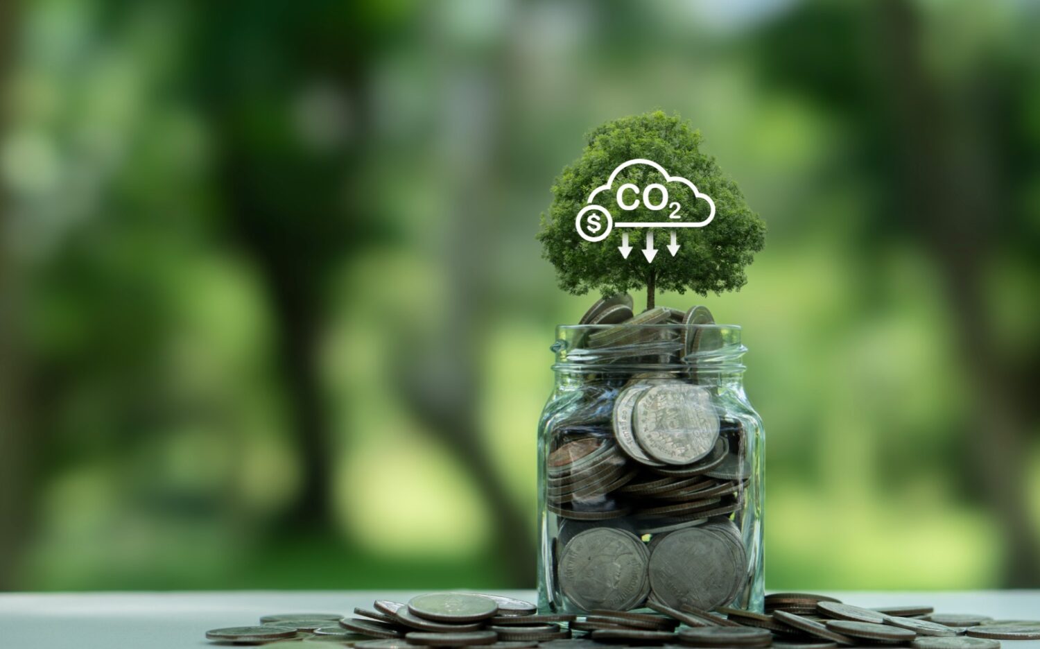 Compensacion emisiones generica