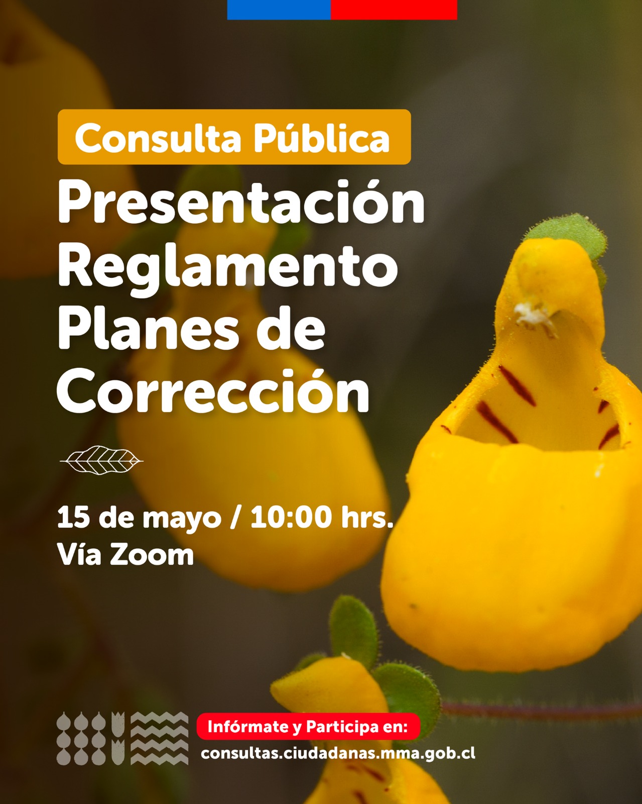 Planescorrec