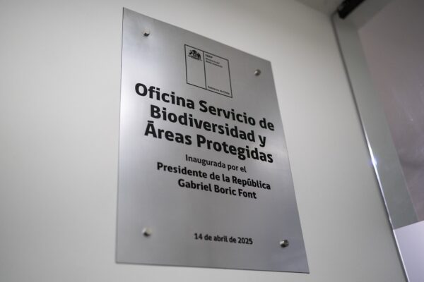 Placa sbap