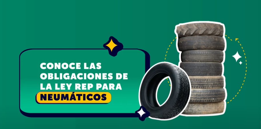 Neumaticos
