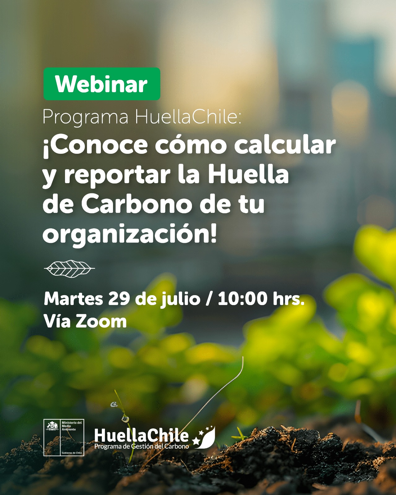 Webhuellacarb2
