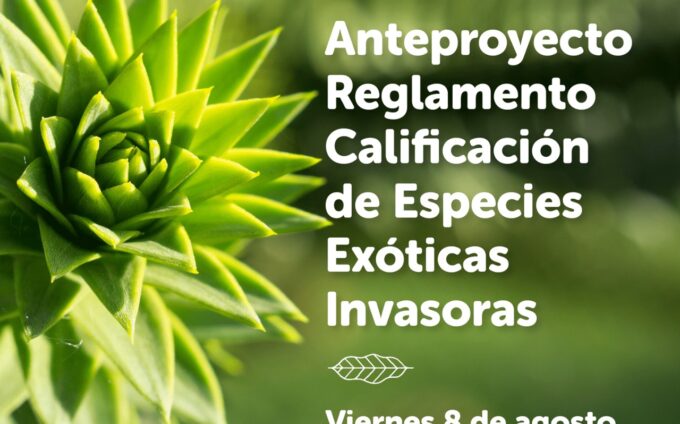 Whatsapp image 2025 08 05 at 6.13.01 pm