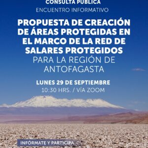 Graficantofagasta29p