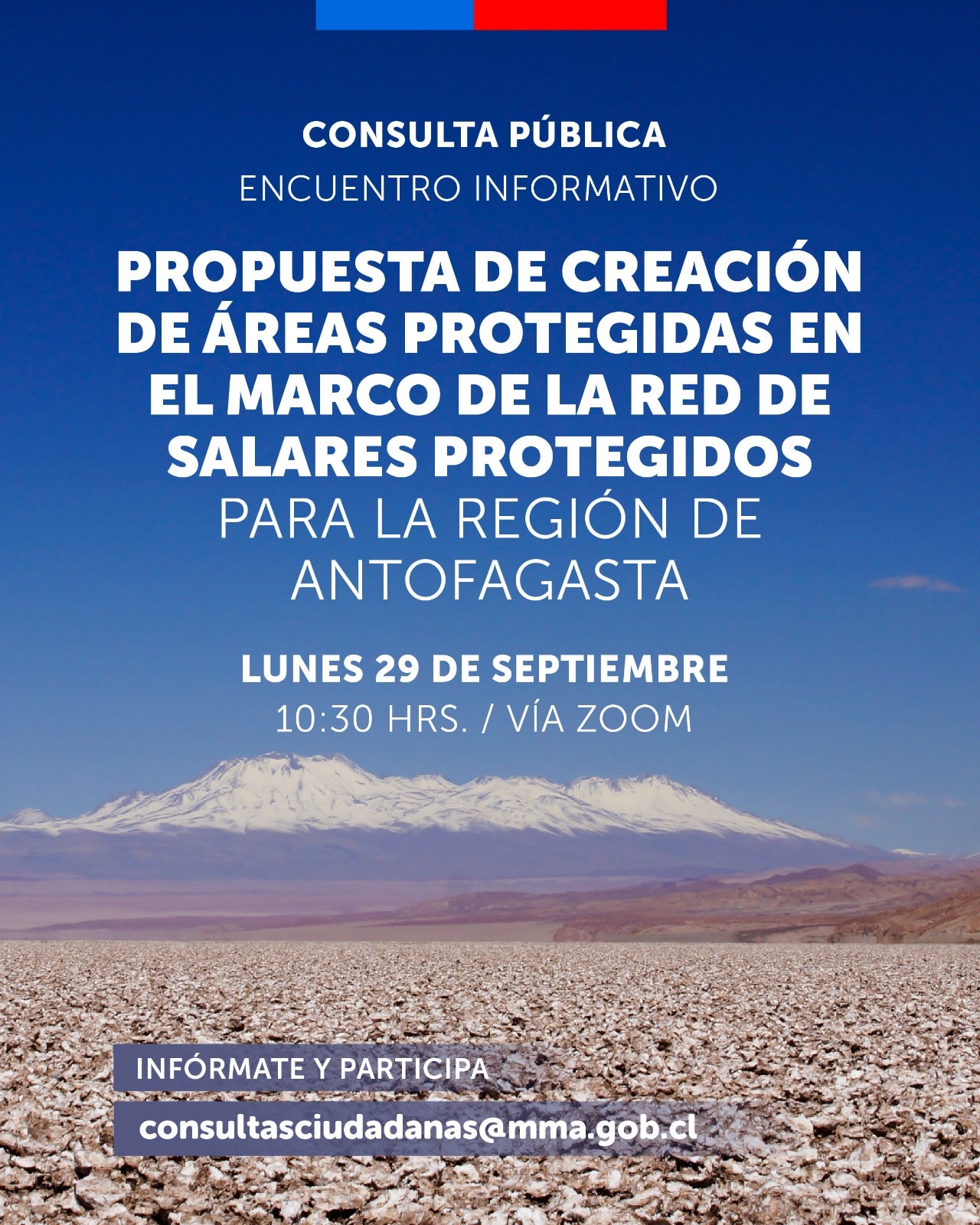 Graficantofagasta29p