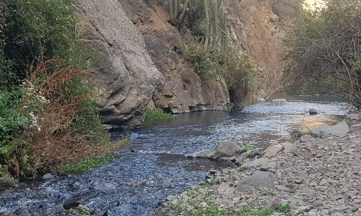 Arrayan1