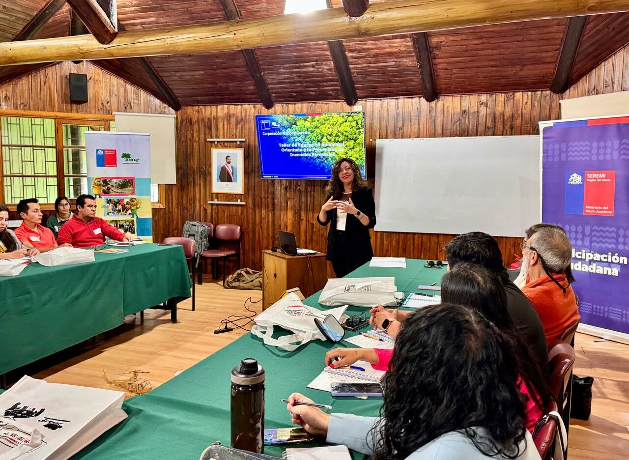 Mauletallerincendios