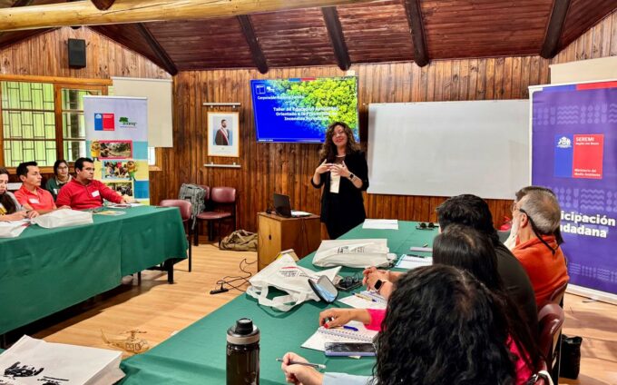 Mauletallerincendios