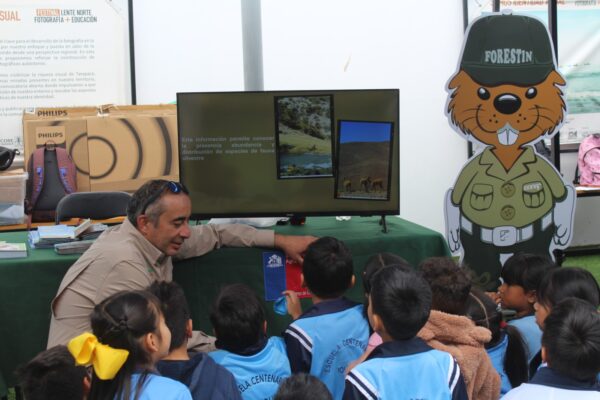 Whatsapp image 2025 11 07 at 17.28.48 1