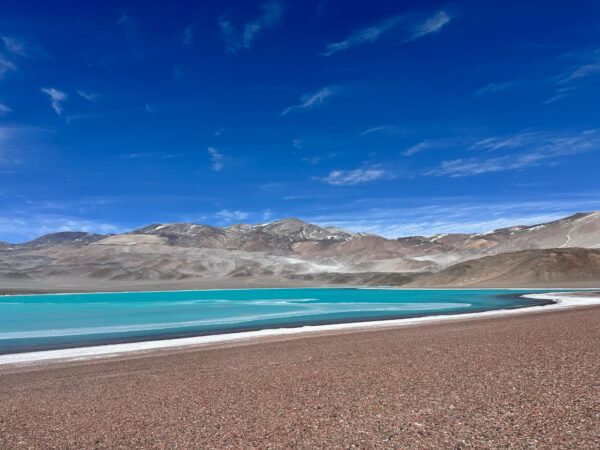 Whatsapp image 2025 11 17 at 6.56.42 pm