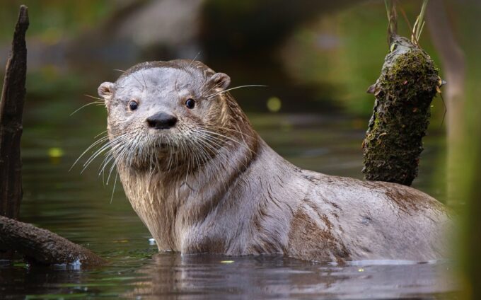 Huillin vicente valdes guzman