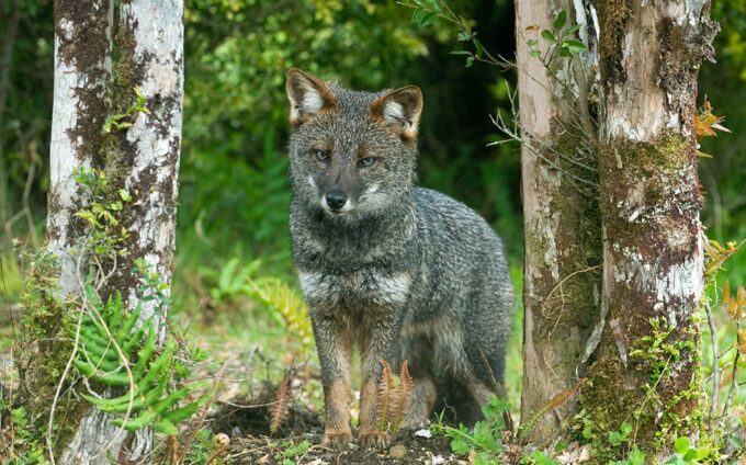 Kevin schafer inaturalist 2