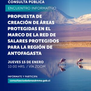 Consultasalarantofagasta