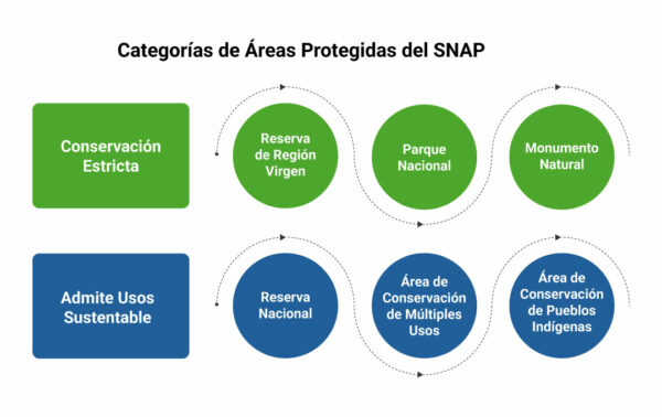 Esquema biodiversidad
