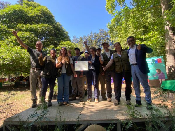 Fpa2026pauta2