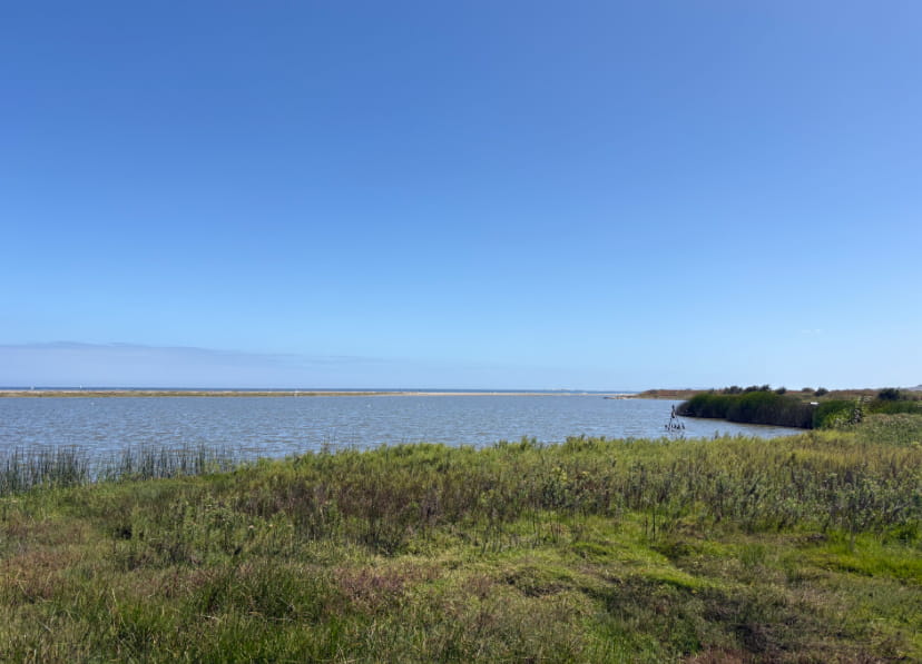 Humedalvalpofeb