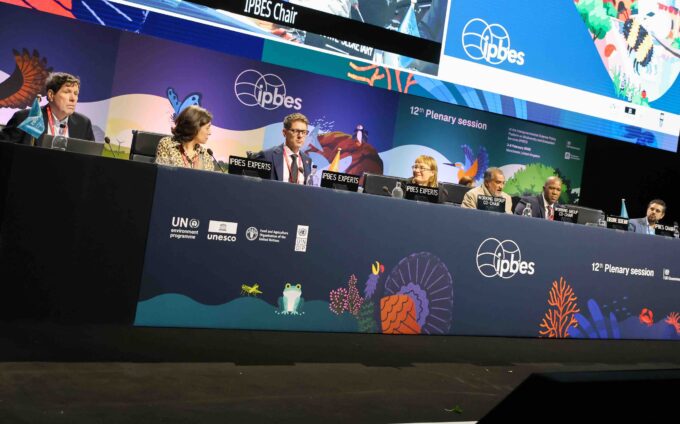 Ipbes