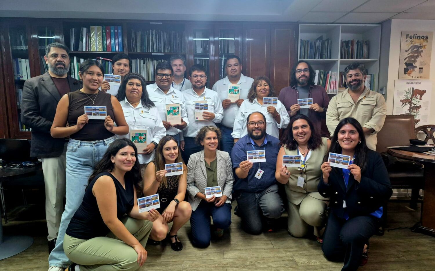 Consultaindigen
