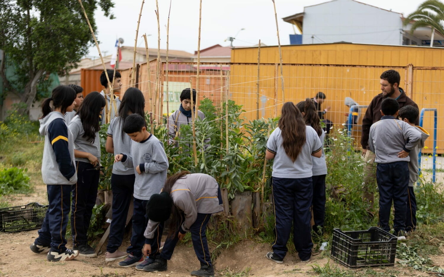 Foto 5 col cristobal colonb