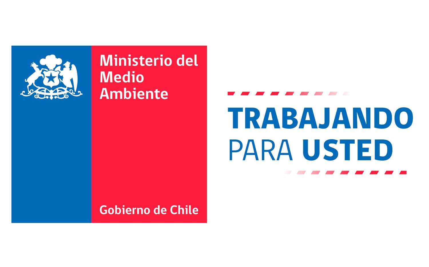 Logo mma con frase 2026 chico