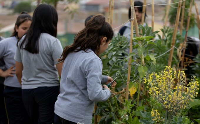 Sncae col cristobal colon