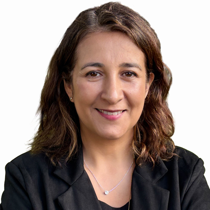 Paula castillo seremi araucania