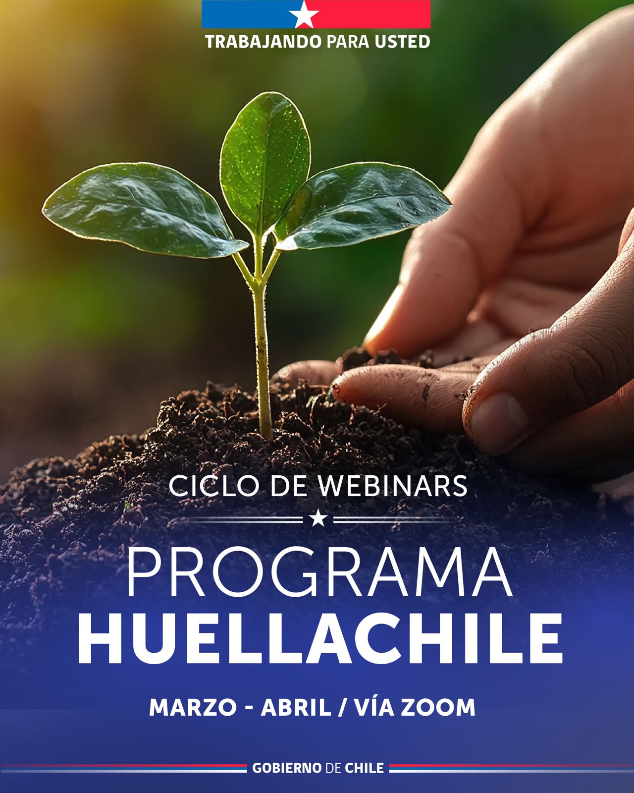 Programa huella chile