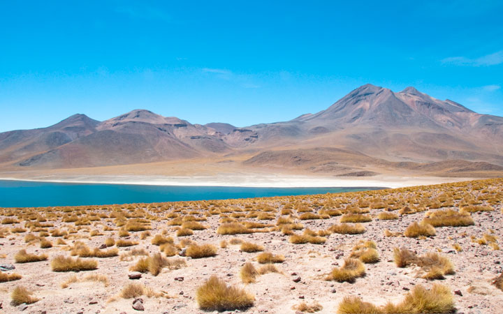 Zona norte