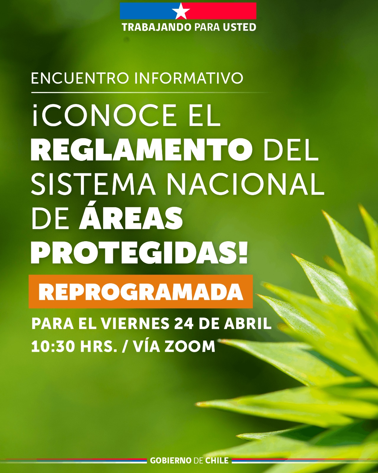 Reprogramada