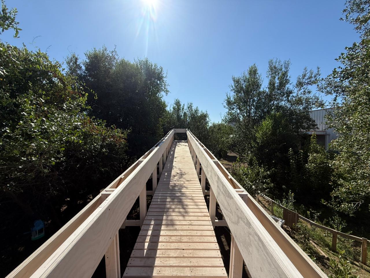 Observatorio aves