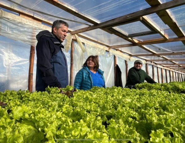 Mapuche Huilliche amplían energía solar para producción hortícola