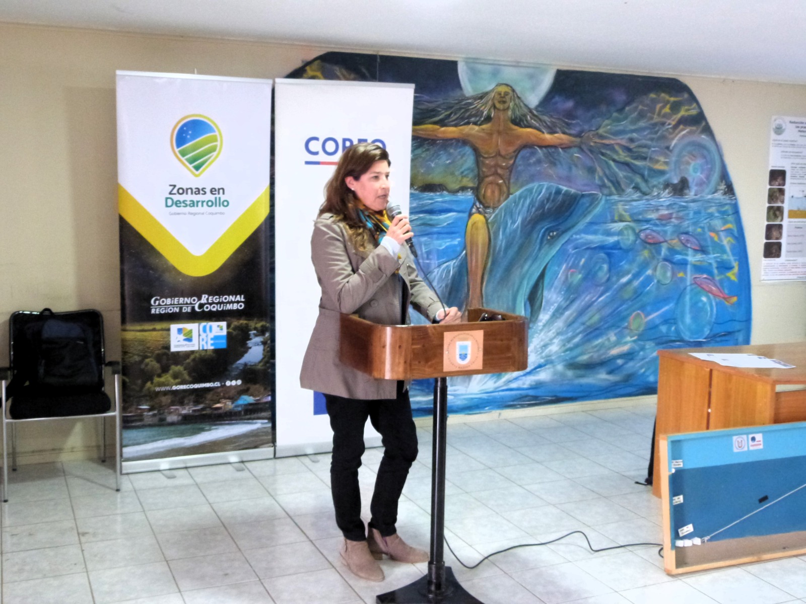 Coquimbo2