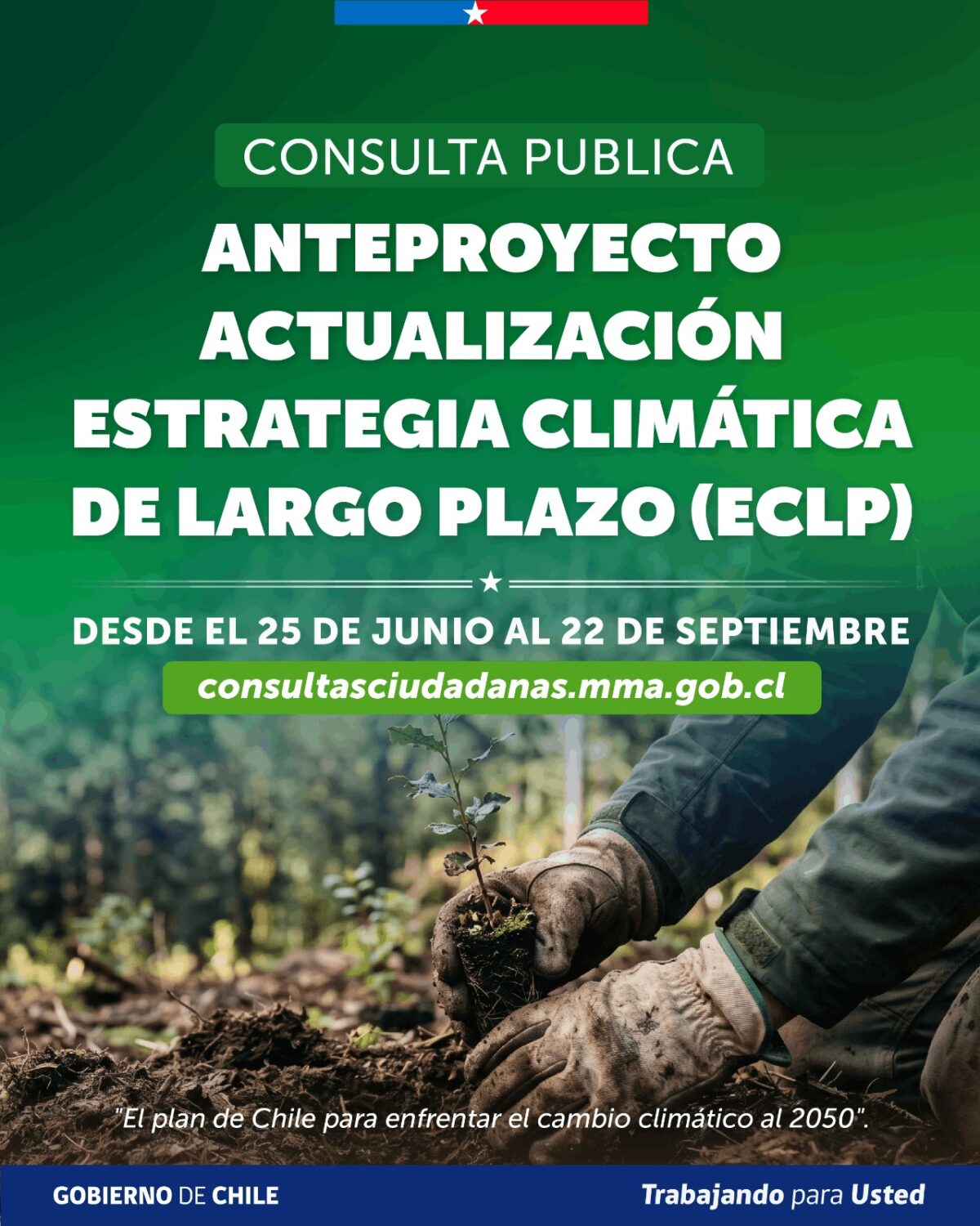 Eclp1
