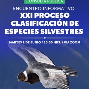 Cp xxiclasificacion