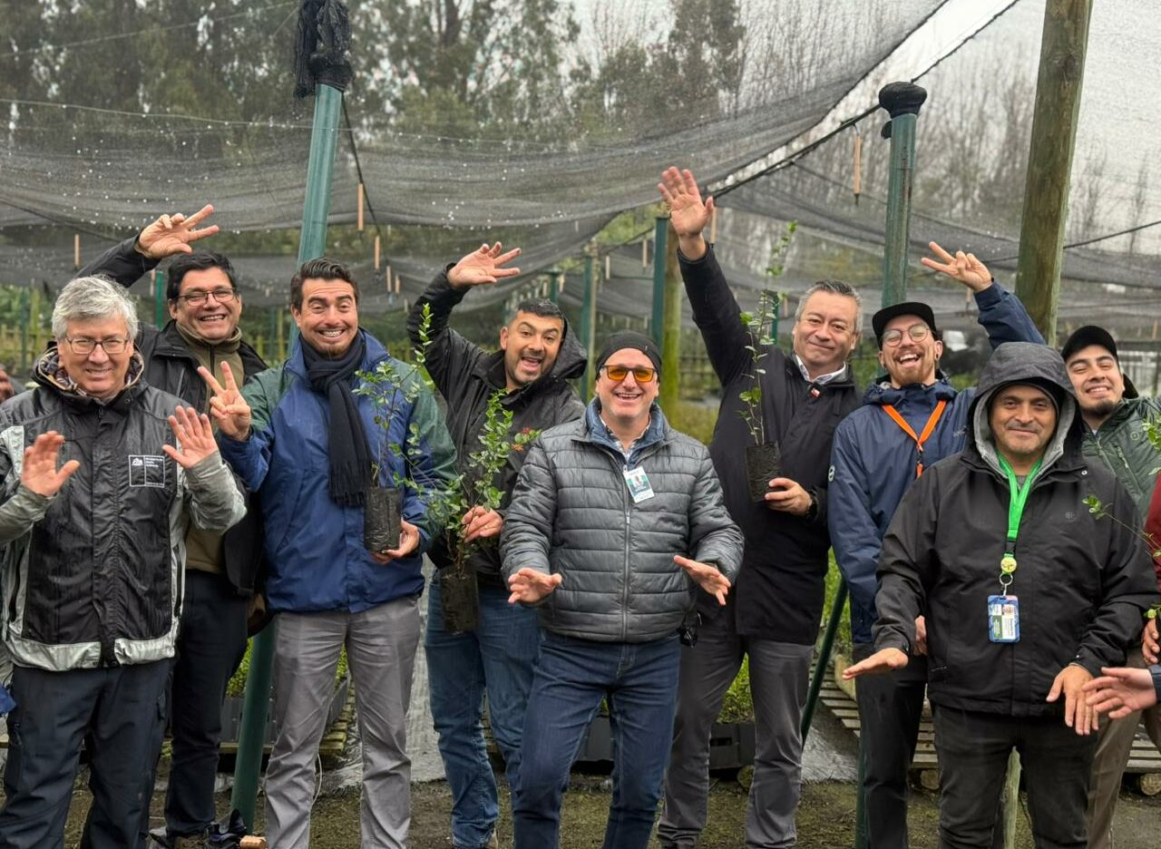 Entrega arboles pda 2