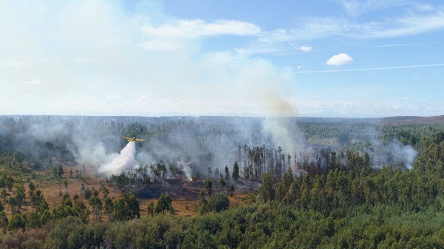 Incendios fores