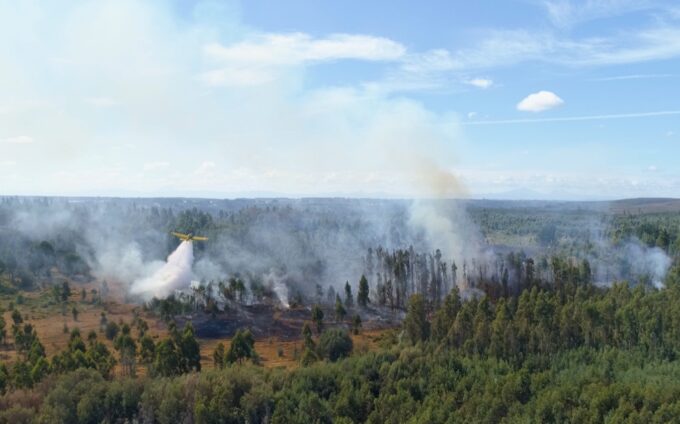 Incendios fores