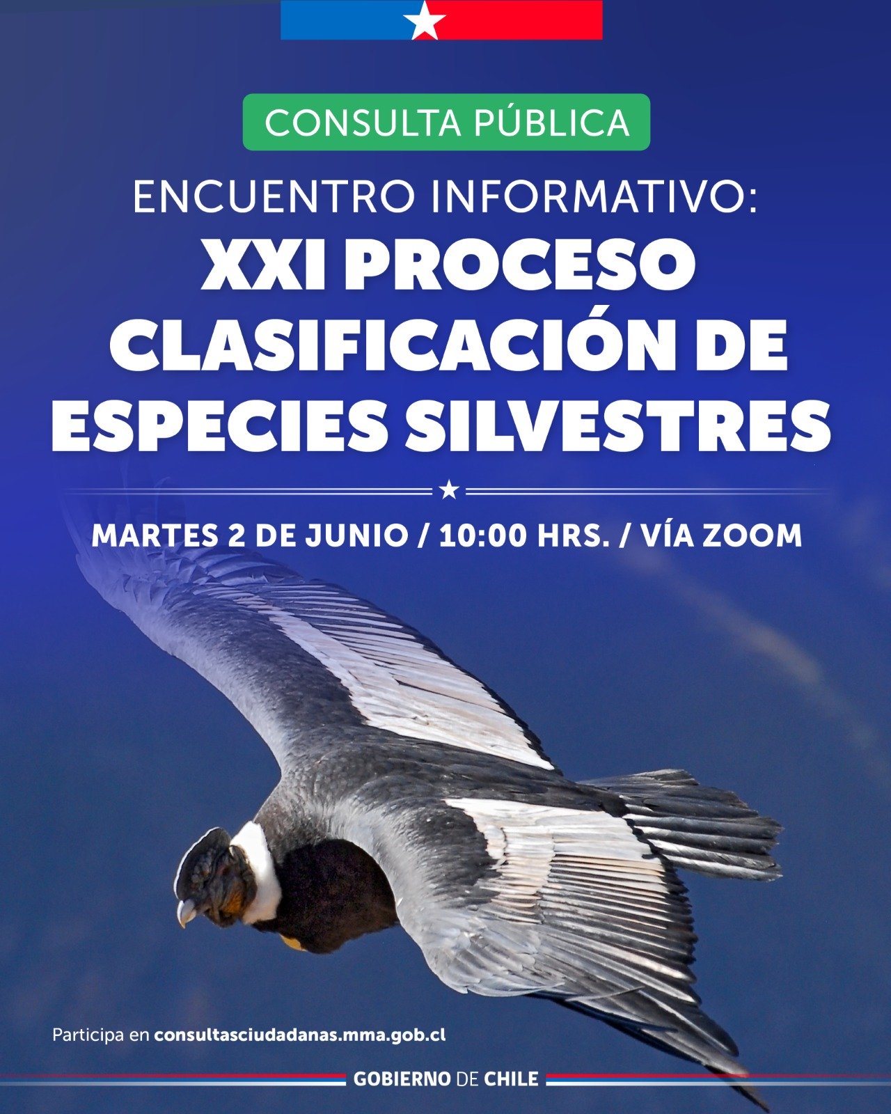 Cp xxiclasificacion