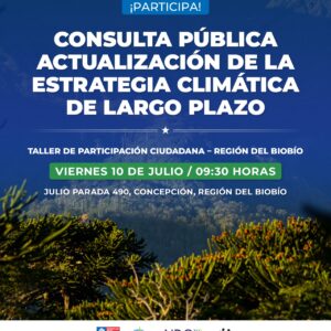 Cpc largoplazo