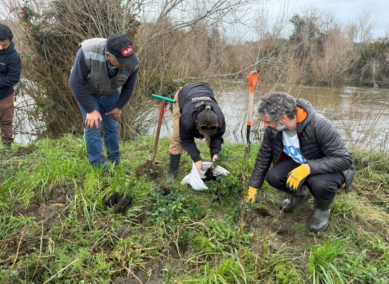 Jornada reforestacion 8