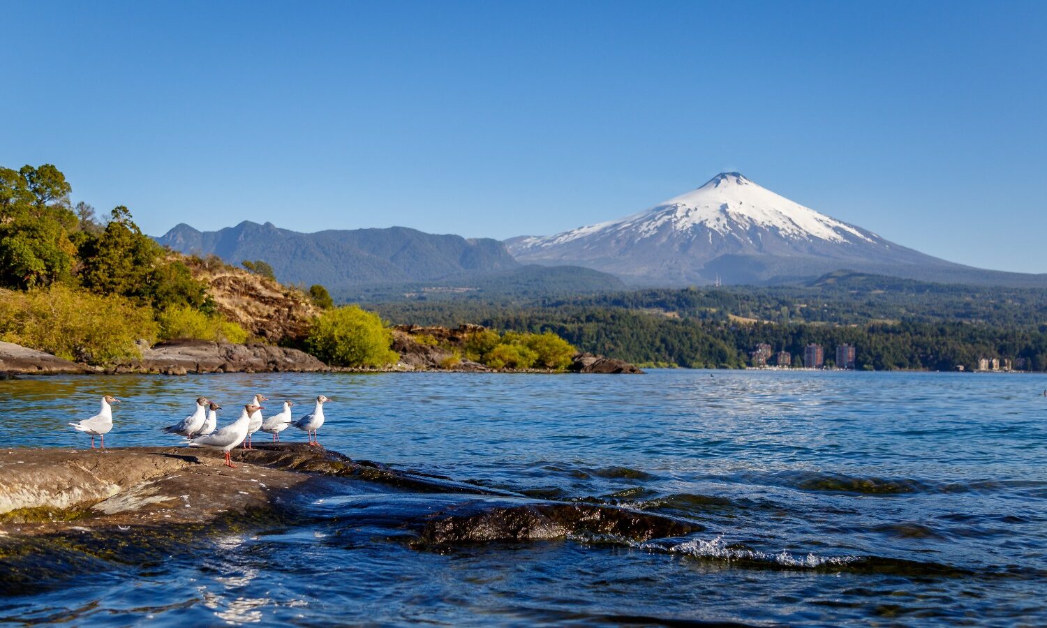 Lago villarrica toma de razon